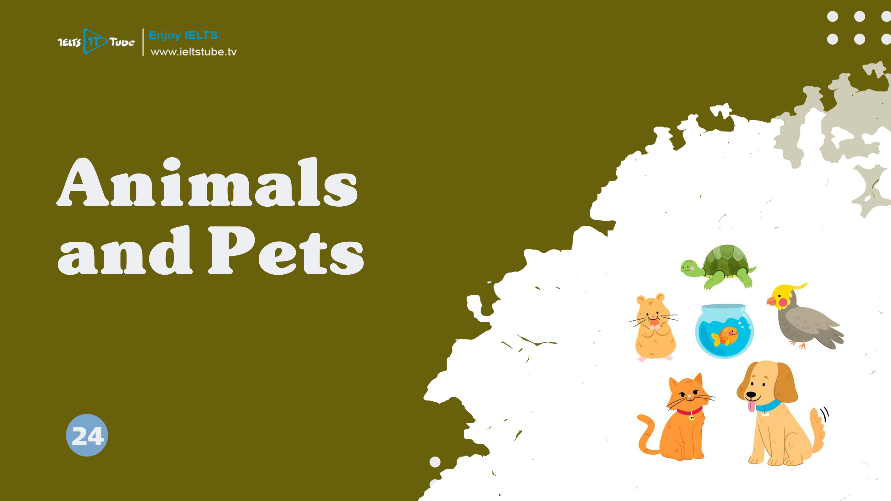 Animals and Pets (Poster)